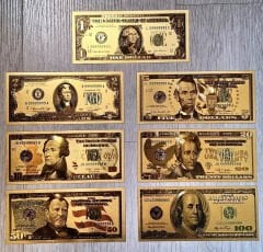 Altın Kaplama Dolar Set