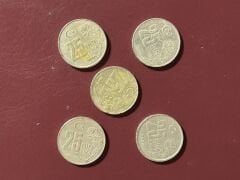 TC 25 Bin Lira Madeni Para Lotu