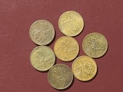 TC Bronz 5 Kuruş Madeni Para Lotu