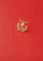 Genel Kurmay Başkanlığı Rozet