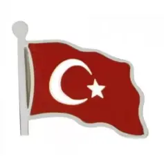 Dalgalanan Türk Bayrağı Darphane Gümüş Rozet